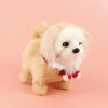 An electronic plush toy with a light and a golden thread dog that can chirp and walk, a realistic plush toy for children, an electronic pet, and a cute gift for children Specification image